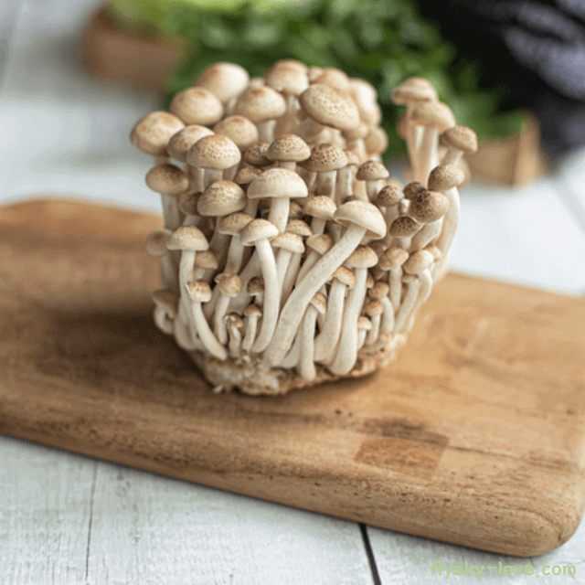 만가닥버섯 고르는 법