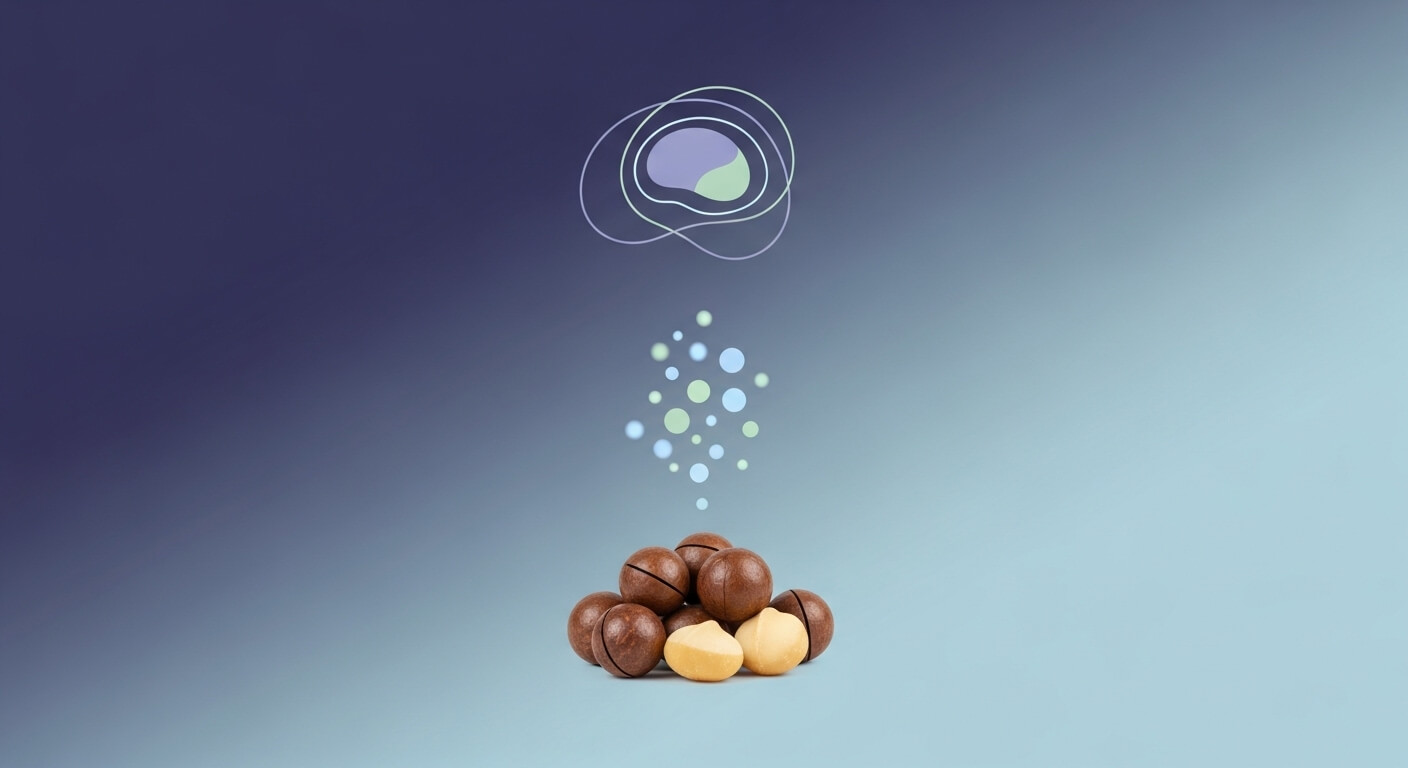 집중력 향상에 도움을 주는 지방과 항산화 성분