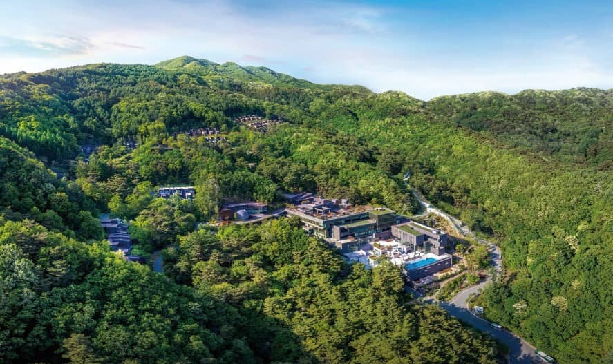 포레스트-리솜-항공샷