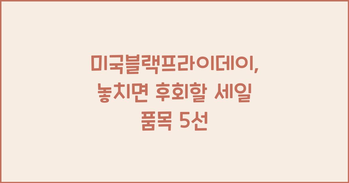 미국블랙프라이데이