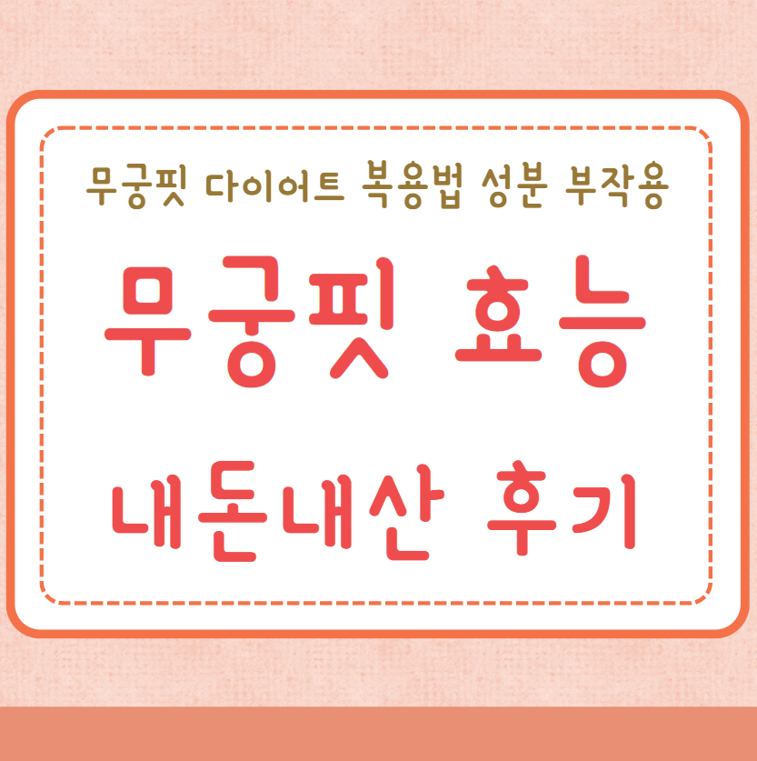 무궁핏 효능 가격