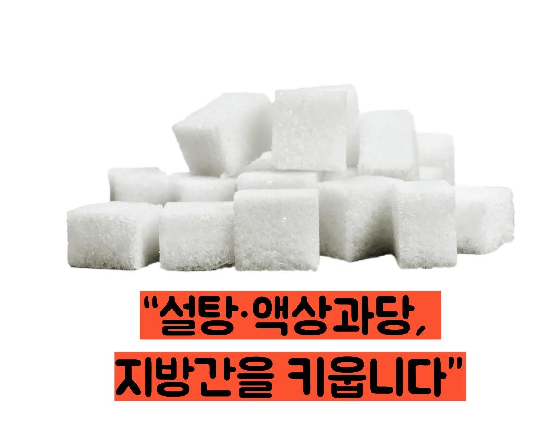 간수치 내리는 방법