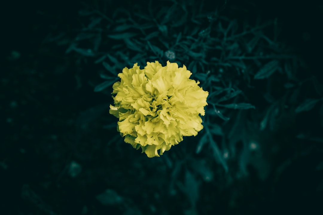 Deficiency