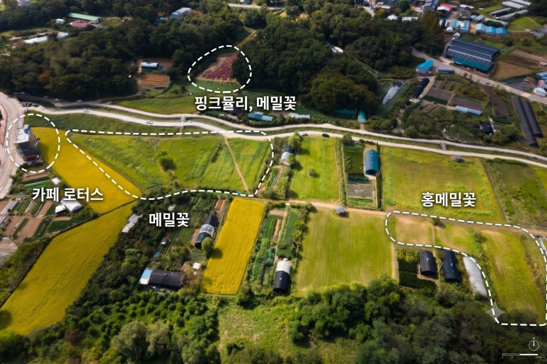 왕송호수-초평동-연꽃단지-드론샷