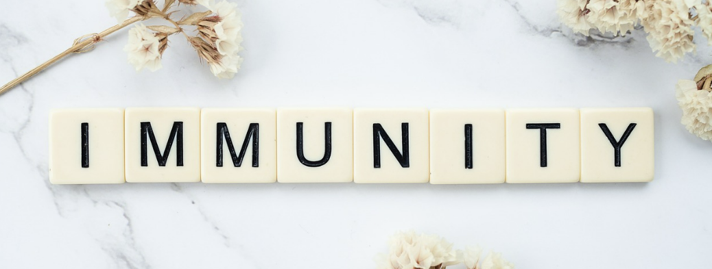 면역력을 높이는 식습관과 생활 습관