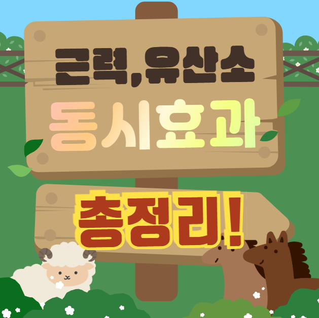 근력유산소 동시효과총정리