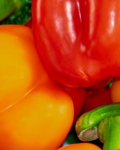 파프리카 효능 사진30