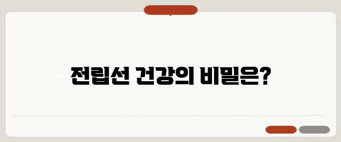 쏘팔메토의 효능과 복용법 전립선 건강에 많이 쓰여요