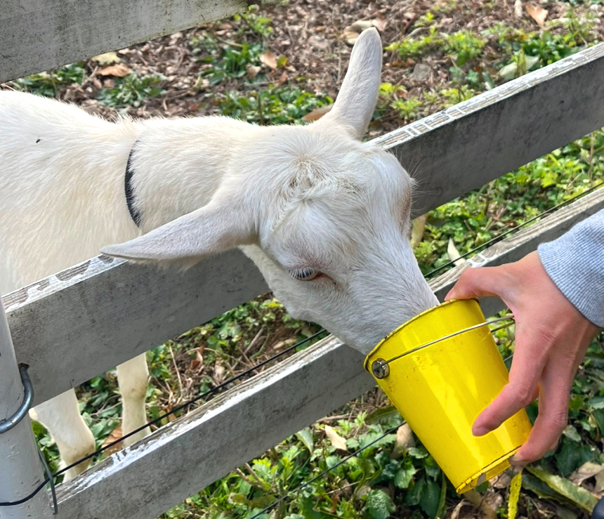 경북 상주 모동목장