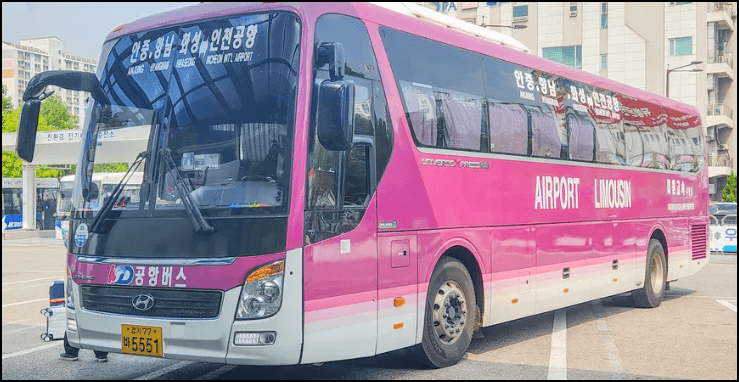 버스 노선도 안내