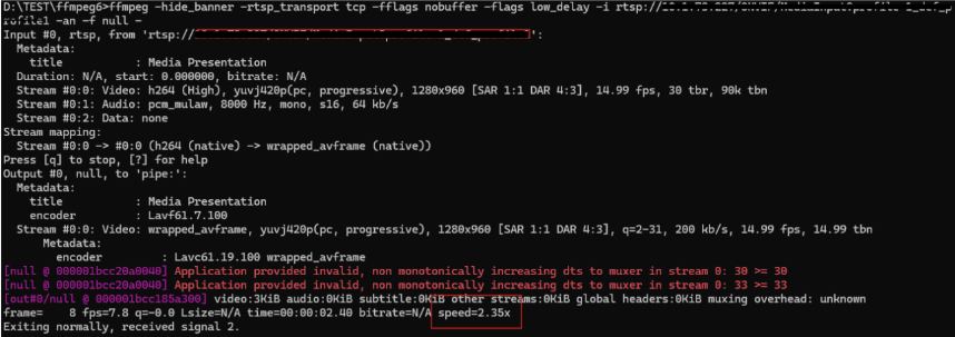 RTSP 입력 처리 테스트 결과 화면