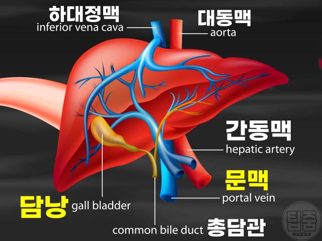 흰머리 나는 부위 문맥 고혈압 흰머리 부위별 원인