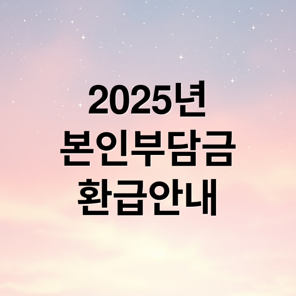 본인부담상한제 환급 신청 기준부터 지급까지