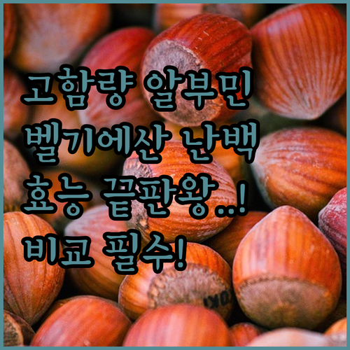 고함량 알부민 영양제 추천 및 벨기에..