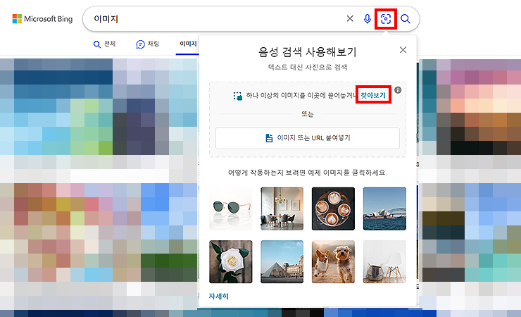 마이크로소프트-빙-이미지-탭-선택