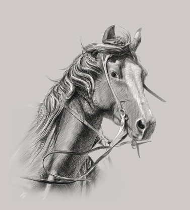 르네상스의 탄생과 현대 사회의 혁신 정신