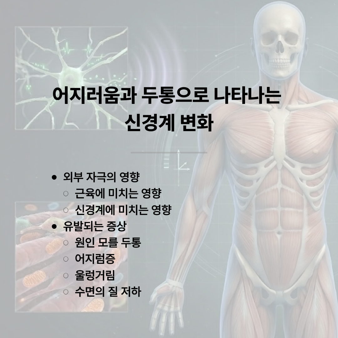 어지러움과 두통으로 나타나는 신경계 변화'를 설명하는 카드뉴스 이미지입니다. 외부 자극이 근육과 신경계에 미치는 영향으로 인해 원인 모를 두통, 어지럼증, 울렁거림, 수면의 질 저하가 유발될 수 있다는 증상 목록이 나열되어 있습니다. 배경에는 인체 근육도와 두개골, 신경 세포의 3D 그래픽이 있습니다.
