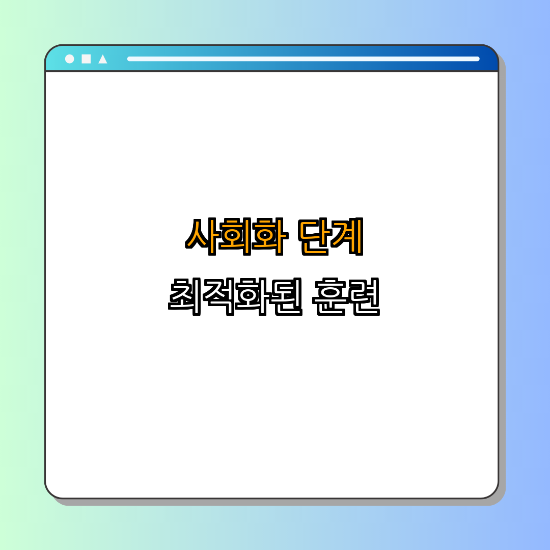 2. 사회화 단계와 방법
