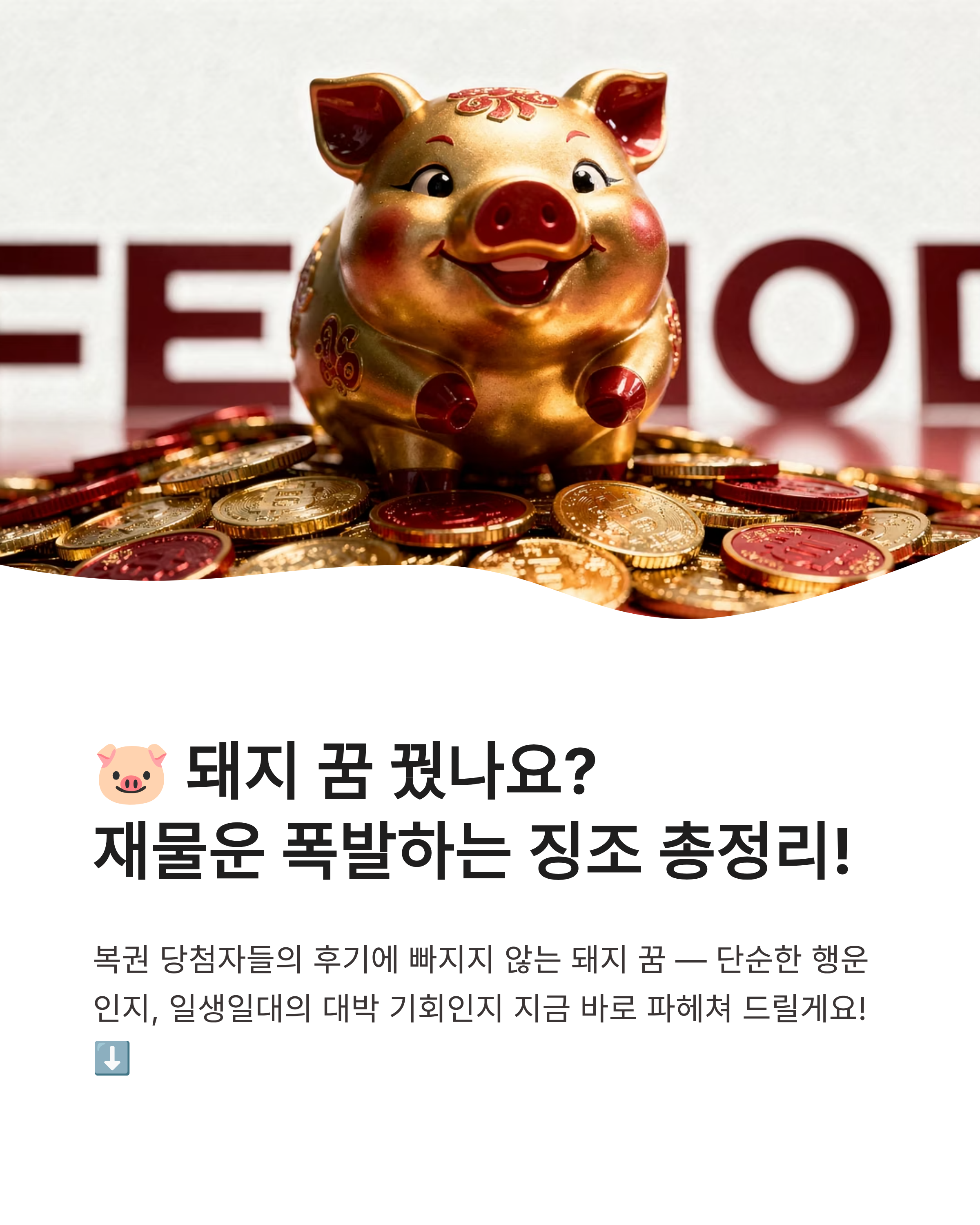 돼지 꿈 해몽 ❘ 새끼 돼지 똥 묻은 돼지 복권 당첨까지? 재물운 폭발하는 징조 총정리!