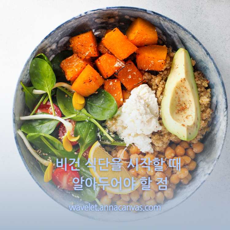 <img src="비건-식단을-시작할-때-알아두어야-할-점.jpg" alt="그릇에-여러가지-채소와-과일들이-담겨져-있는-이미지">