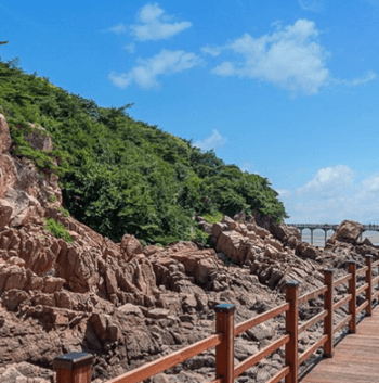 인천_무의도_가는길