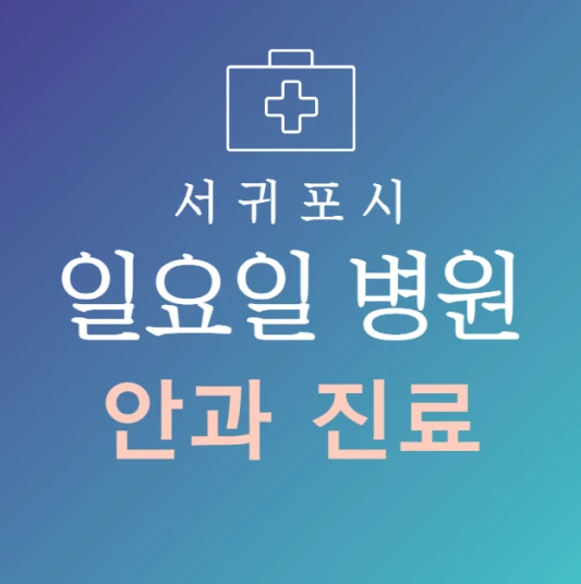 서귀포시-일요일-안과-문여는곳-주말에-진료하는-서귀포-24시간-안과-병원