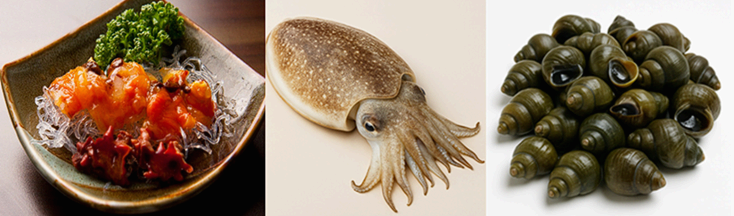 5월 제철 해산물