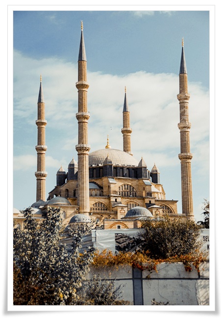 웅장한 4개의 첨탑과 거대한 중앙 돔이 하늘을 향해 솟아있고, 나무들이 둘러싸고 있는 이슬람 건축의 걸작을 보여주는 전경