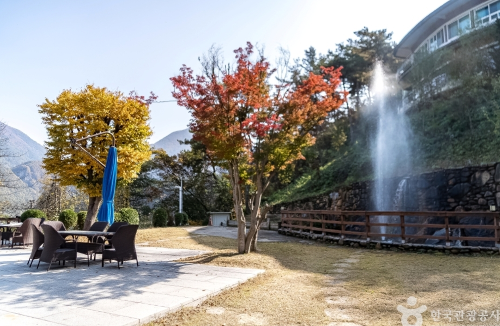 강원도평창생태마을