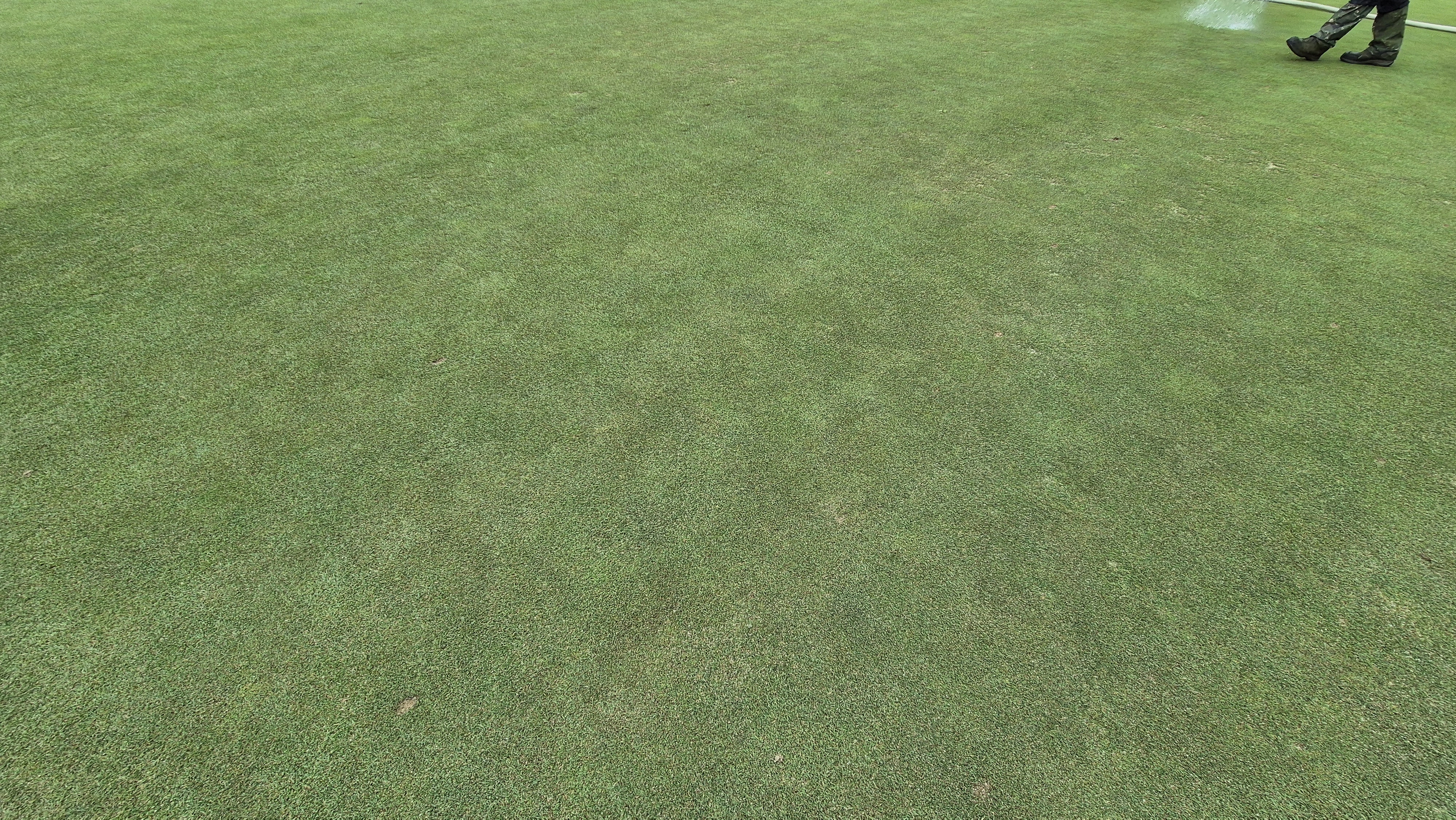 샴발라cc 라운드 후기