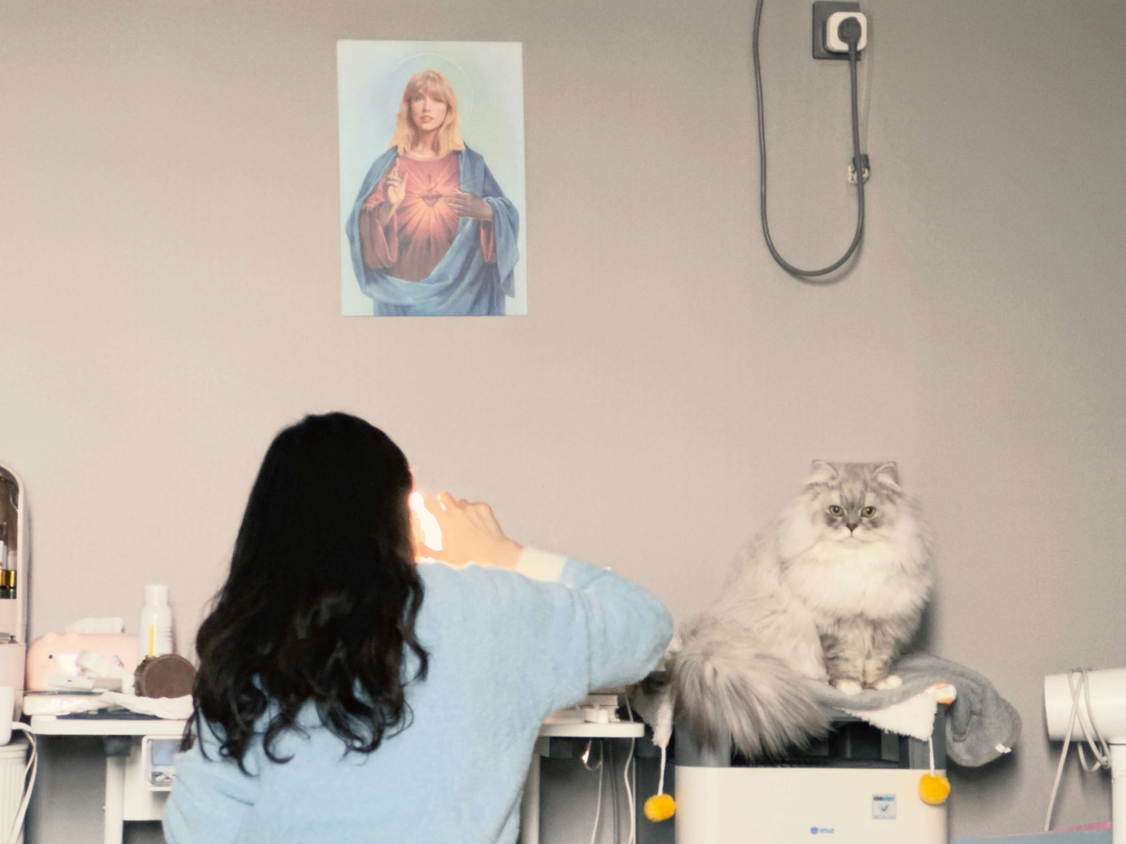 고양이 보험료 산정기준