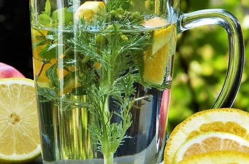 반려동물 자격증 창업 취업