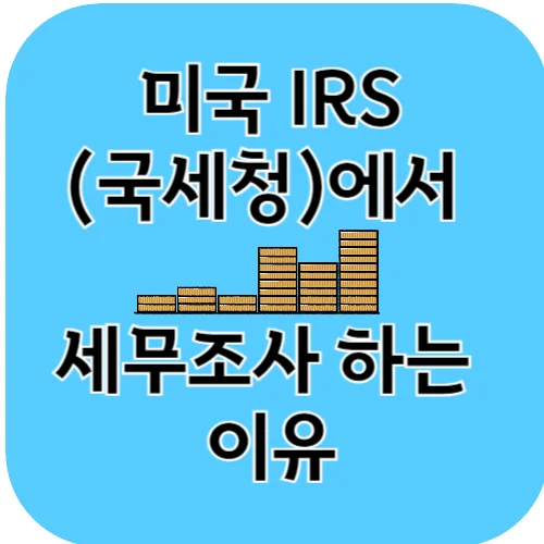 미국 IRS(국세청)에서 세무조사 하는 이유