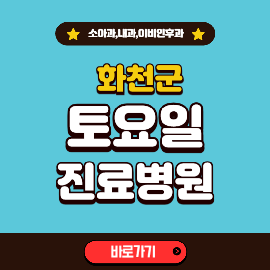 화천군 토요일 진료 병원 찾기 ❘ 주말 문여는 소아과, 내과, 이비인후과 리스트