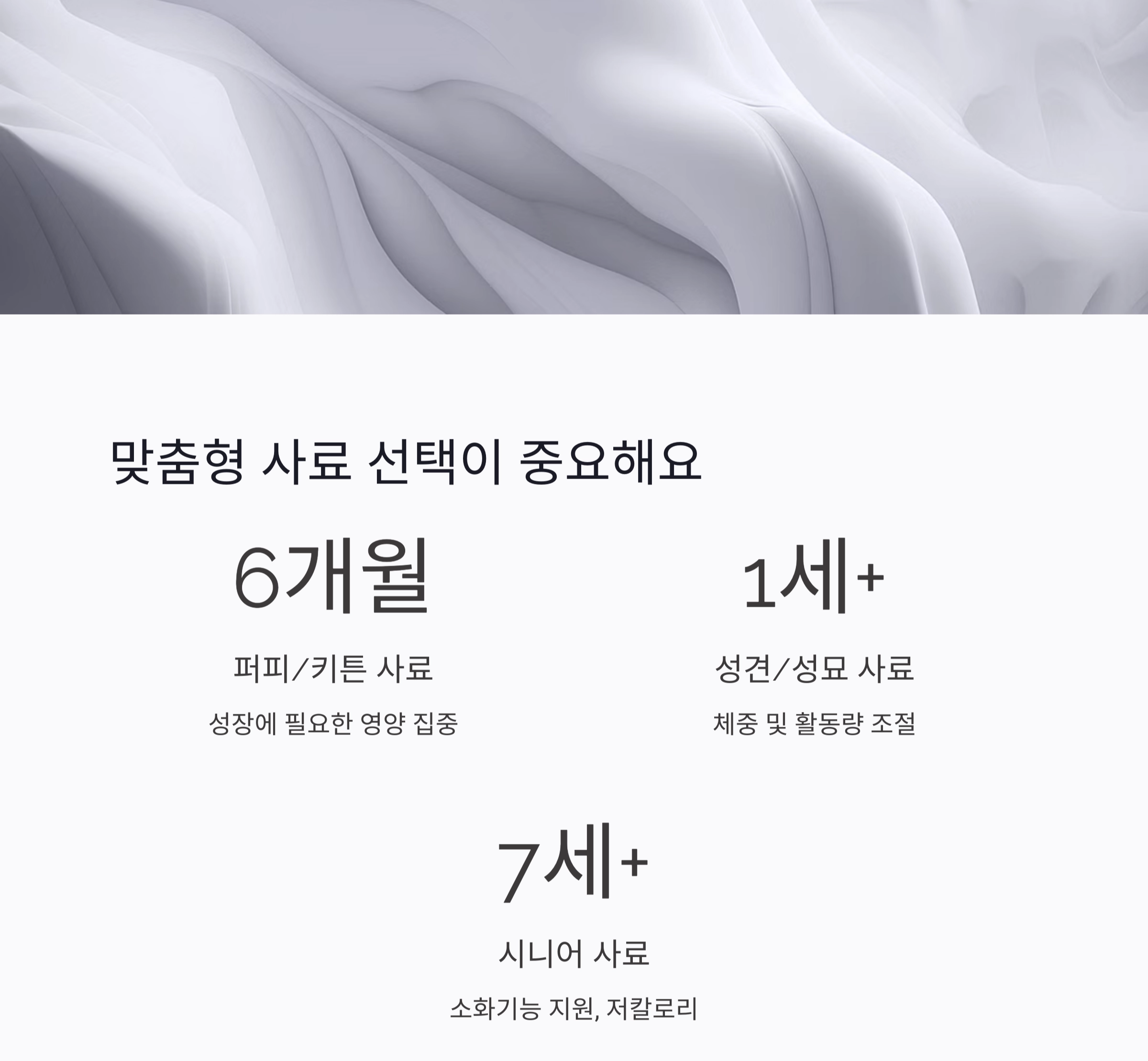 반려동물 초보 집사를 위한 필수템 완벽 가이드