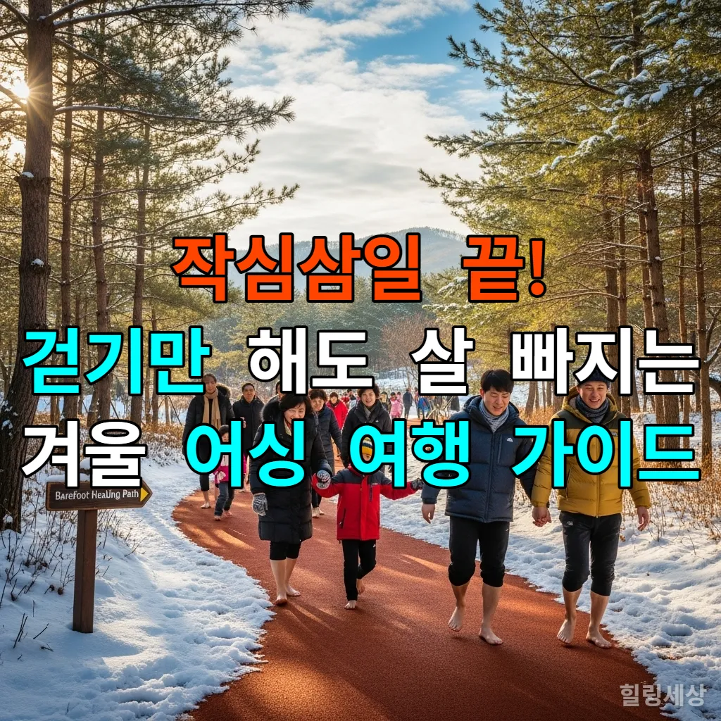 눈 덮인 소나무 숲 사이로 이어진 황토길에서 한국인들이 즐겁게 맨발 걷기를 하고 있는 겨울 풍경