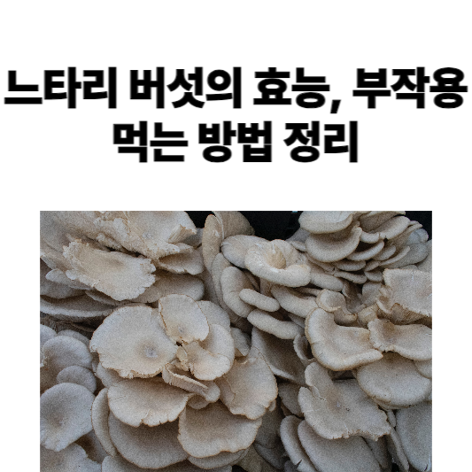 느타리버섯의 효능, 부작용 및 섭취 방법