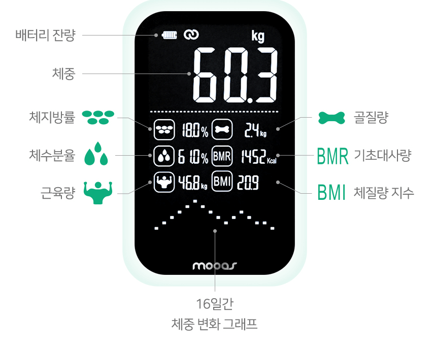 무아스 체중계 특징 및 기능