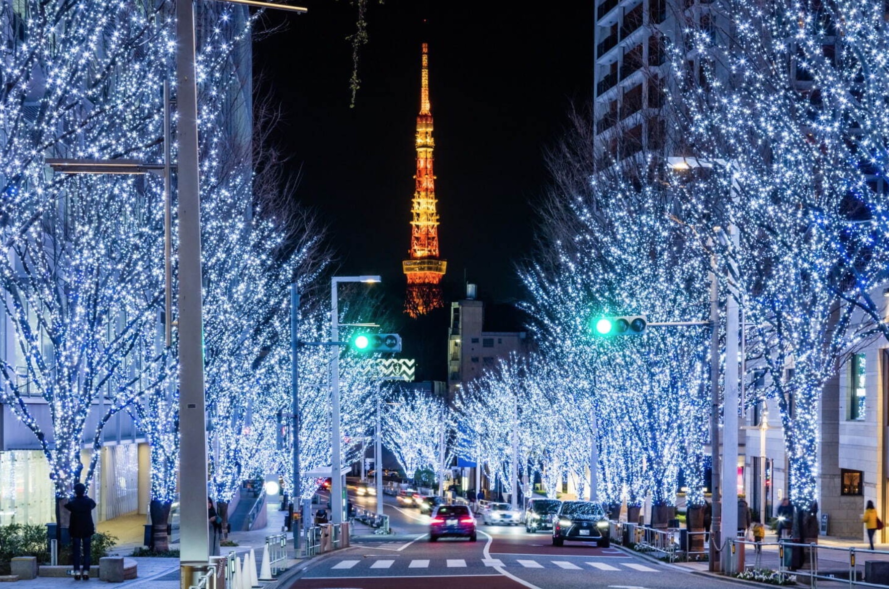 롯본기 일루미네이션