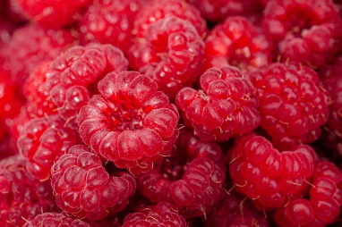 욕창 치료법 총정리 (초기부터 심한 단계까지)