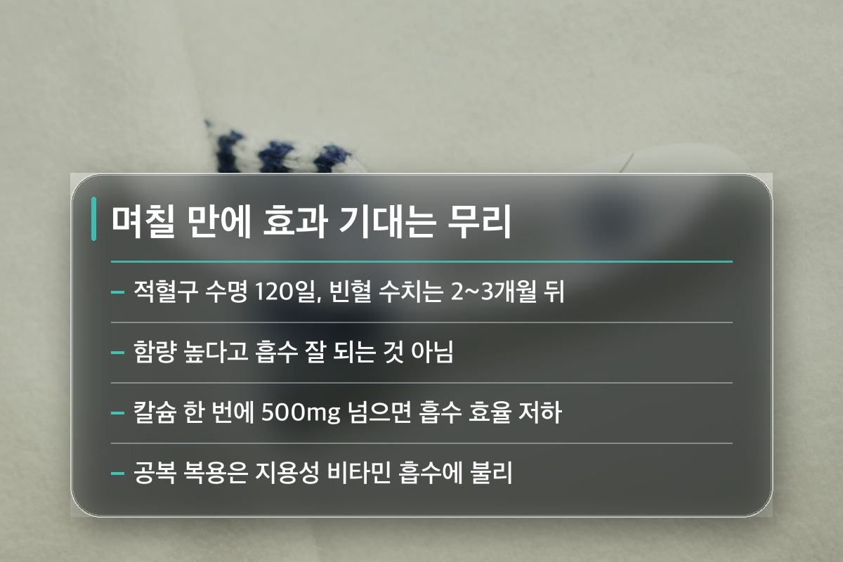 종합비타민 효능 가장 흔한 오해 세 가지부터 바로잡습니다
