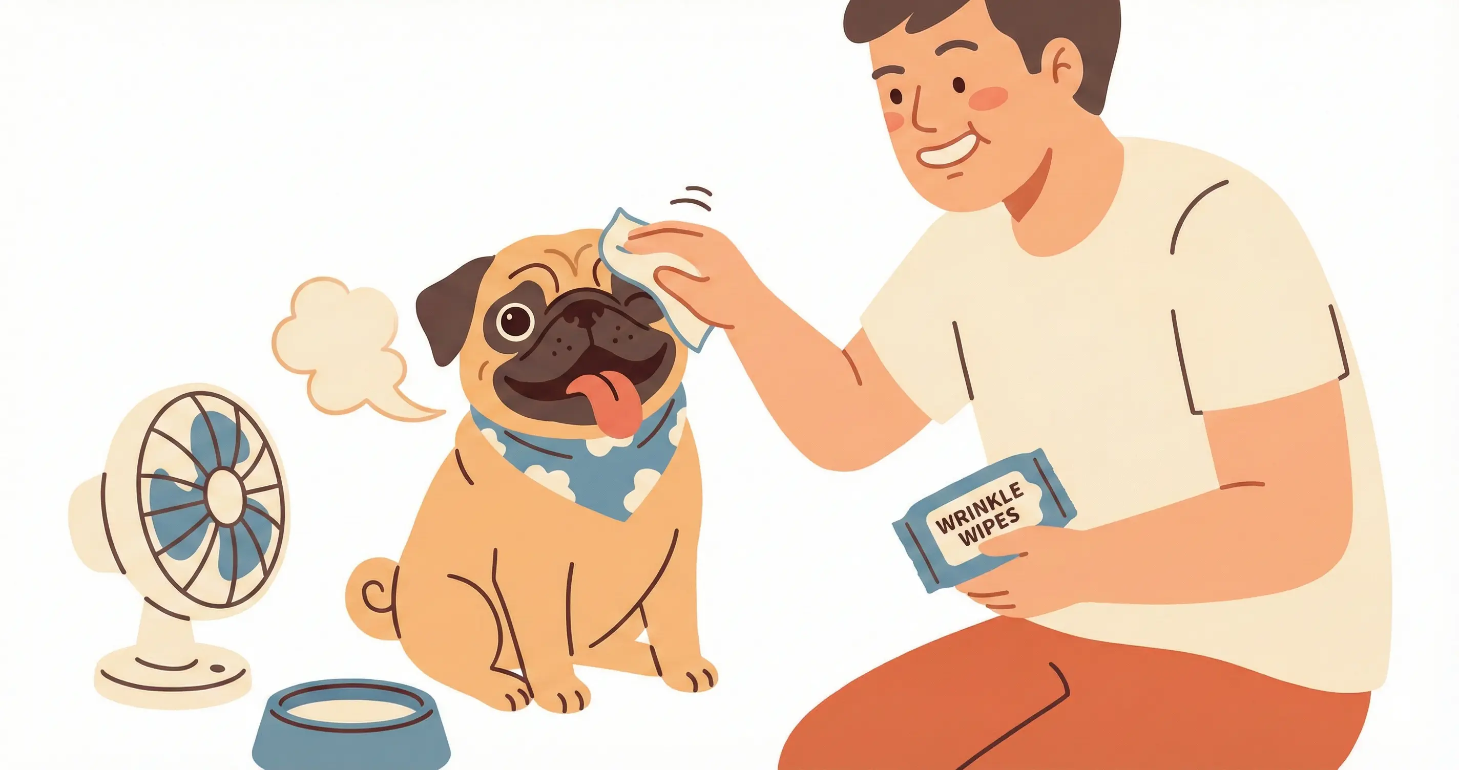여름철 헥헥거리는 퍼그 주름 사이를 전용 티슈로 닦아주는 모습