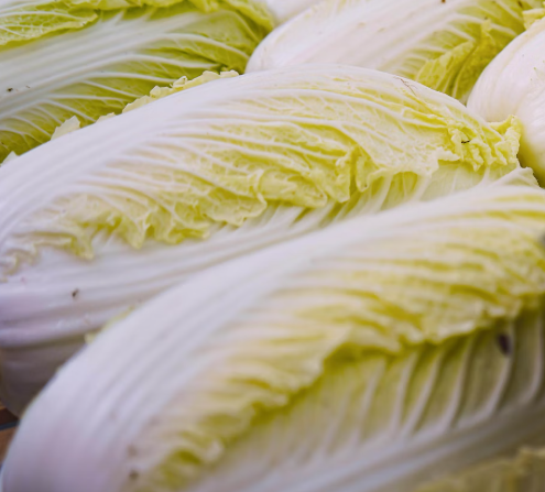 배추 효능 부작용 칼로리