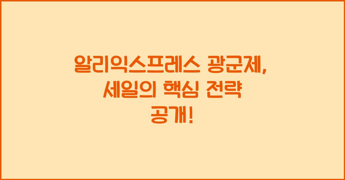 알리익스프레스 광군제