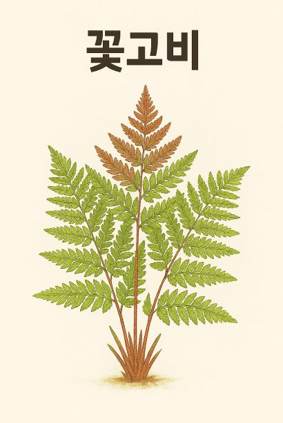 꽃고비, 그늘 속 정원을 물들이는 잎