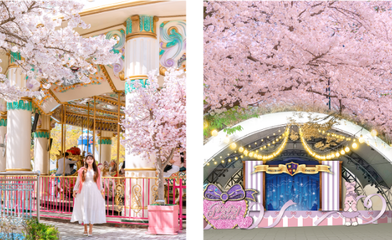 이월드 블라썸 피크닉 벚꽃로드