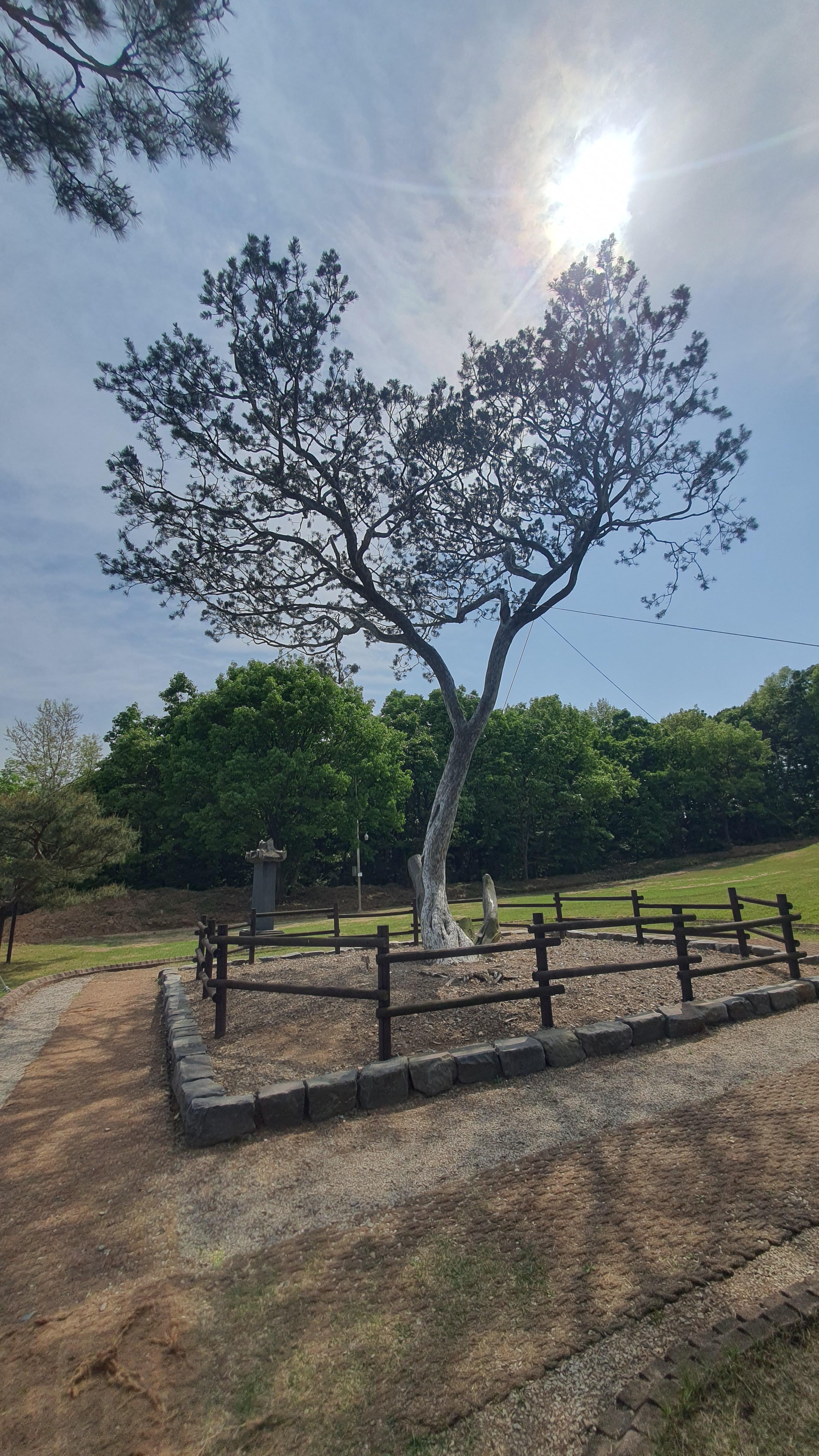 충남 예산 가볼만한곳 추사고택
