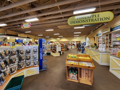 돌플랜테이션악세서리기념품