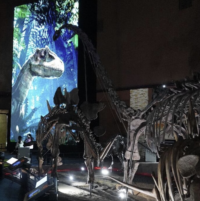 해남 공룡대축제 2026