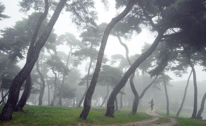 공주 가볼만한곳 베스트10